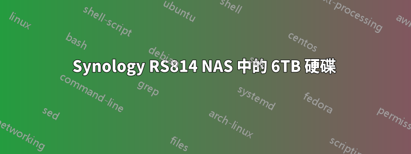 Synology RS814 NAS 中的 6TB 硬碟