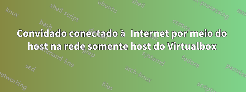 Convidado conectado à Internet por meio do host na rede somente host do Virtualbox