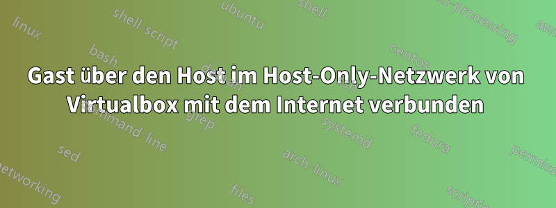 Gast über den Host im Host-Only-Netzwerk von Virtualbox mit dem Internet verbunden