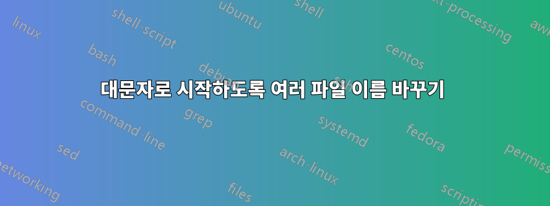 대문자로 시작하도록 여러 파일 이름 바꾸기