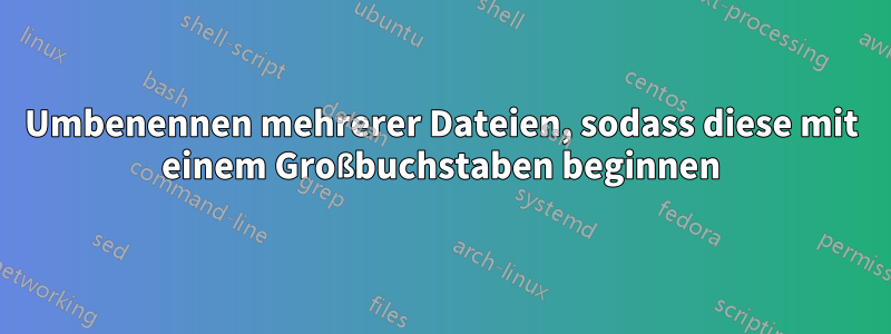 Umbenennen mehrerer Dateien, sodass diese mit einem Großbuchstaben beginnen