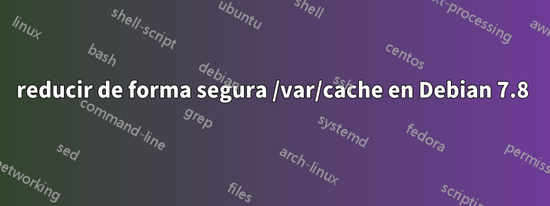 reducir de forma segura /var/cache en Debian 7.8