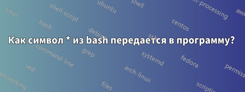 Как символ * из bash передается в программу?