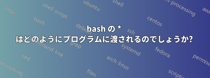 bash の * はどのようにプログラムに渡されるのでしょうか?