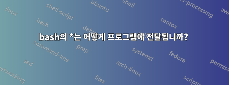 bash의 *는 어떻게 프로그램에 전달됩니까?