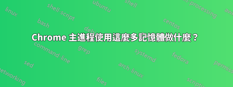 Chrome 主進程使用這麼多記憶體做什麼？