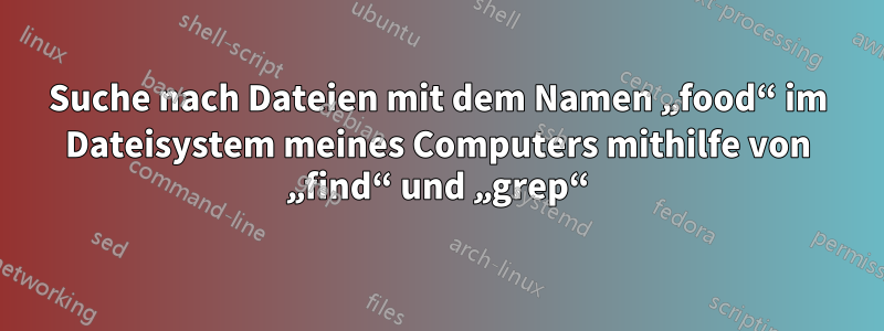 Suche nach Dateien mit dem Namen „food“ im Dateisystem meines Computers mithilfe von „find“ und „grep“