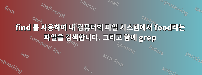 find 를 사용하여 내 컴퓨터의 파일 시스템에서 food라는 파일을 검색합니다. 그리고 함께 grep