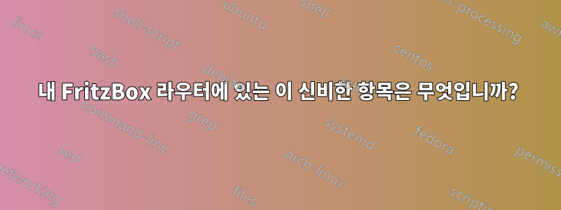 내 FritzBox 라우터에 있는 이 신비한 항목은 무엇입니까?