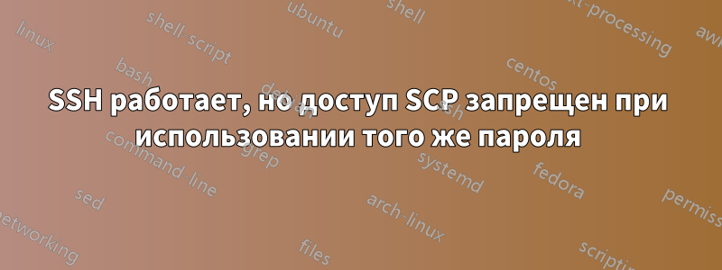 SSH работает, но доступ SCP запрещен при использовании того же пароля