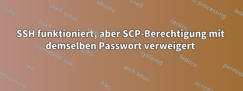 SSH funktioniert, aber SCP-Berechtigung mit demselben Passwort verweigert