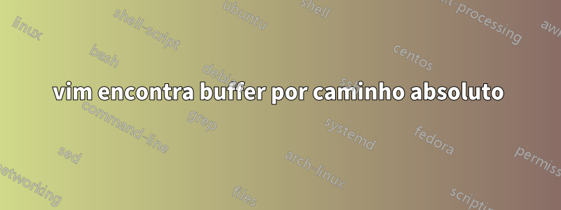 vim encontra buffer por caminho absoluto