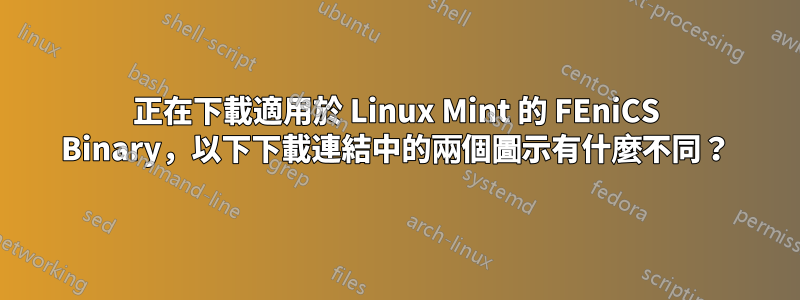 正在下載適用於 Linux Mint 的 FEniCS Binary，以下下載連結中的兩個圖示有什麼不同？