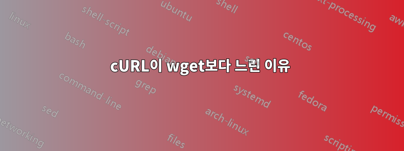 cURL이 wget보다 느린 이유