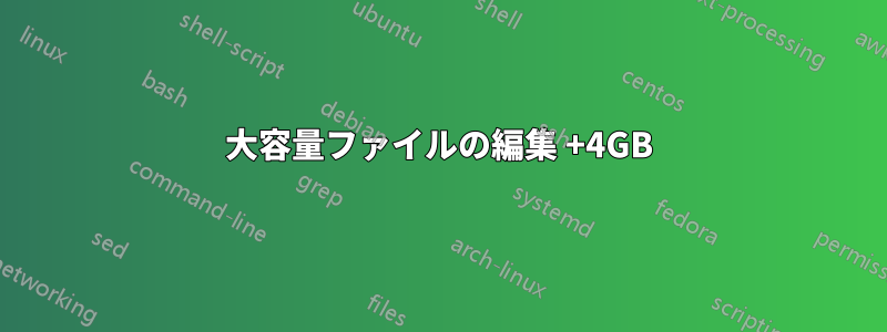 大容量ファイルの編集 +4GB