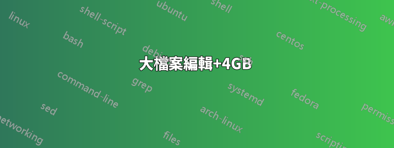 大檔案編輯+4GB