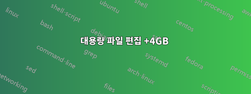 대용량 파일 편집 +4GB