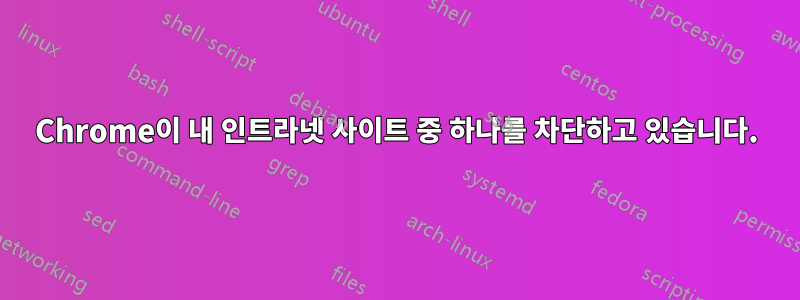 Chrome이 내 인트라넷 사이트 중 하나를 차단하고 있습니다.