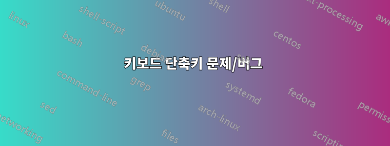 키보드 단축키 문제/버그