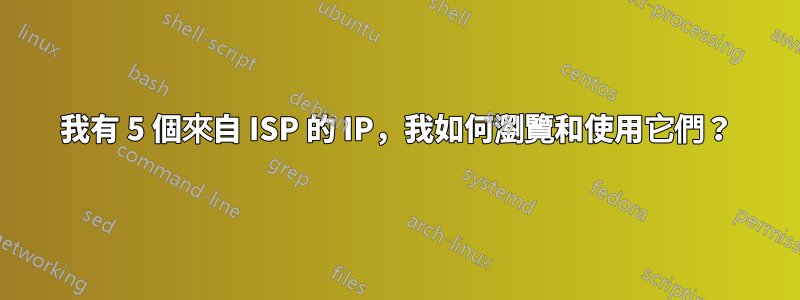 我有 5 個來自 ISP 的 IP，我如何瀏覽和使用它們？