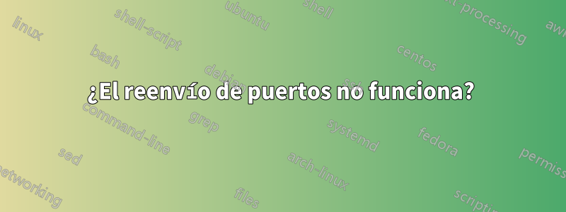 ¿El reenvío de puertos no funciona?