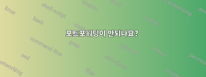 포트포워딩이 안되나요?