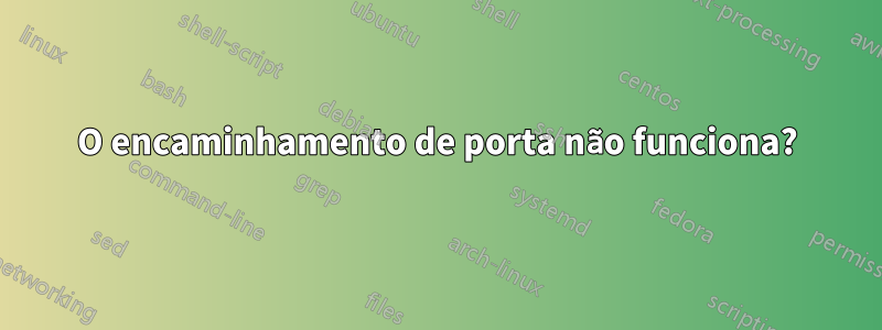 O encaminhamento de porta não funciona?