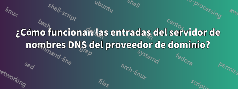 ¿Cómo funcionan las entradas del servidor de nombres DNS del proveedor de dominio?