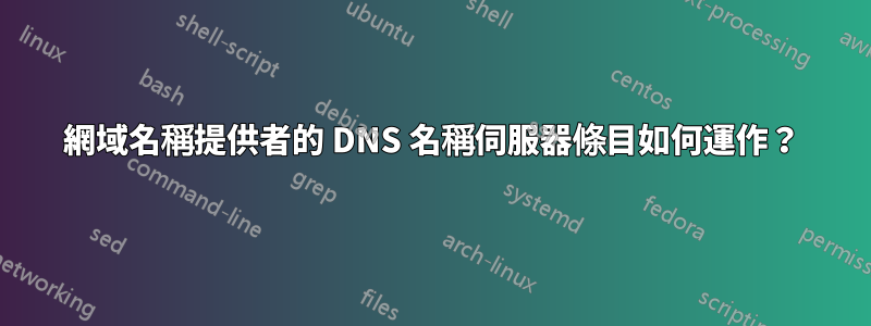 網域名稱提供者的 DNS 名稱伺服器條目如何運作？