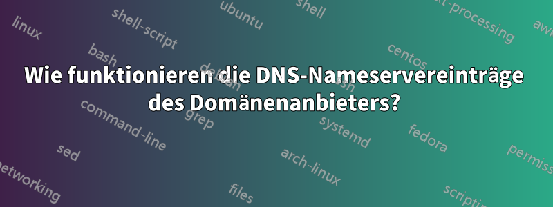 Wie funktionieren die DNS-Nameservereinträge des Domänenanbieters?