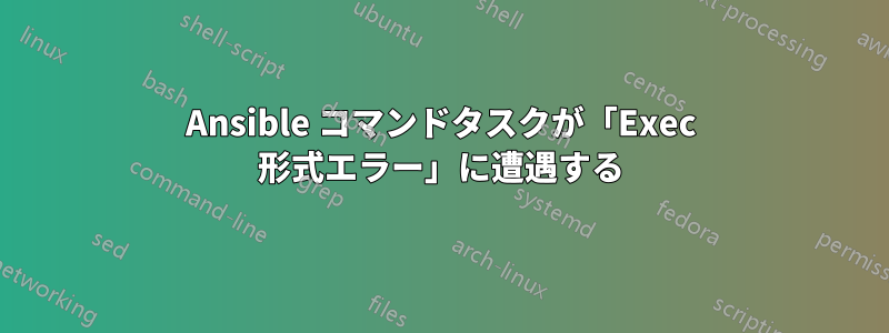 Ansible コマンドタスクが「Exec 形式エラー」に遭遇する