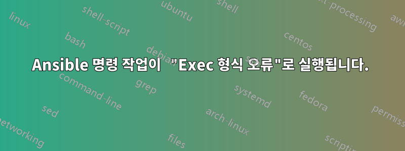 Ansible 명령 작업이 "Exec 형식 오류"로 실행됩니다.