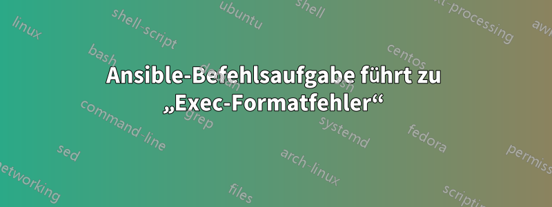 Ansible-Befehlsaufgabe führt zu „Exec-Formatfehler“