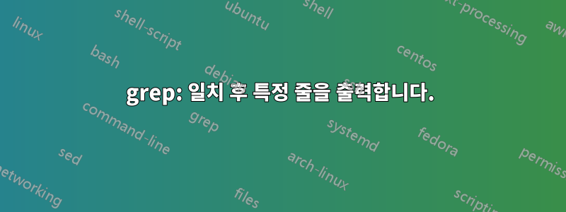 grep: 일치 후 특정 줄을 출력합니다.