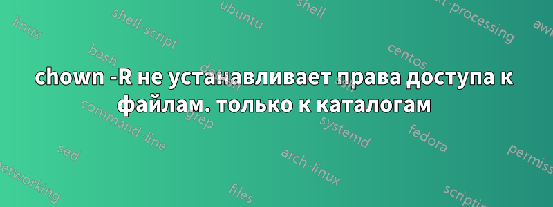 chown -R не устанавливает права доступа к файлам. только к каталогам