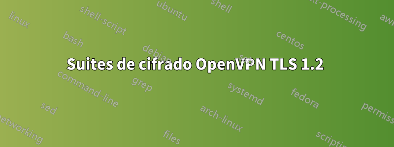 Suites de cifrado OpenVPN TLS 1.2