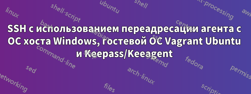 SSH с использованием переадресации агента с ОС хоста Windows, гостевой ОС Vagrant Ubuntu и Keepass/Keeagent