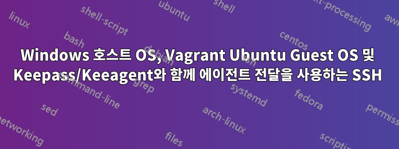 Windows 호스트 OS, Vagrant Ubuntu Guest OS 및 Keepass/Keeagent와 함께 에이전트 전달을 사용하는 SSH