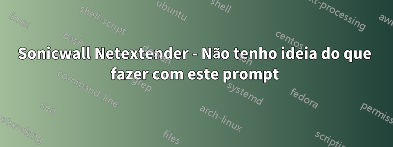 Sonicwall Netextender - Não tenho ideia do que fazer com este prompt