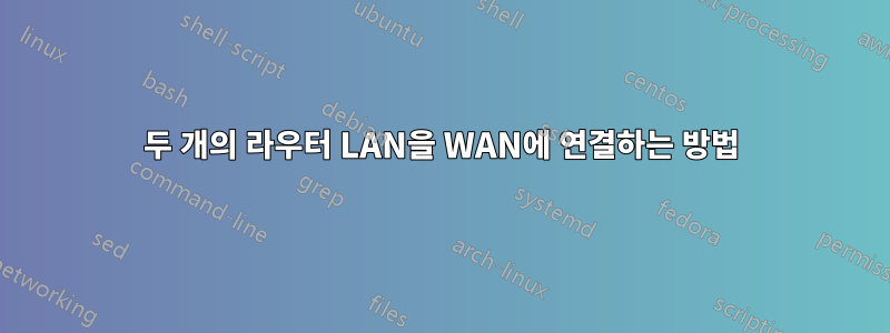 두 개의 라우터 LAN을 WAN에 연결하는 방법