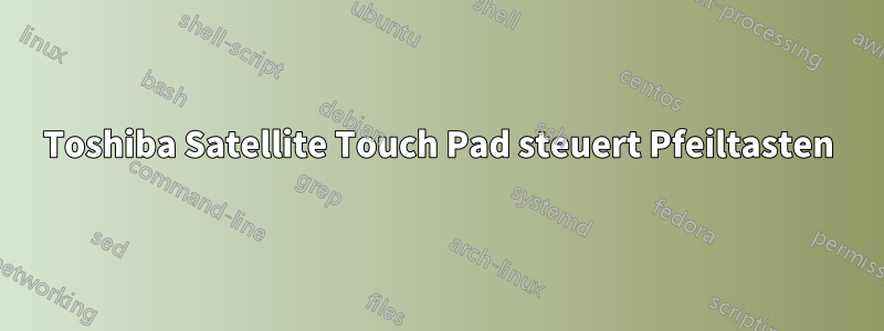 Toshiba Satellite Touch Pad steuert Pfeiltasten