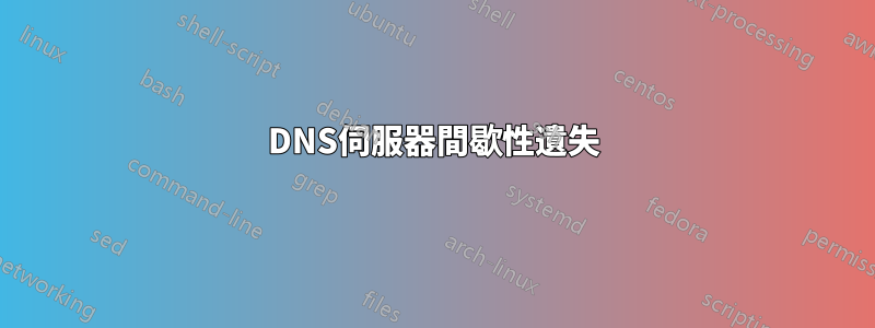 DNS伺服器間歇性遺失