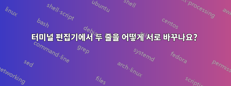 터미널 편집기에서 두 줄을 어떻게 서로 바꾸나요?