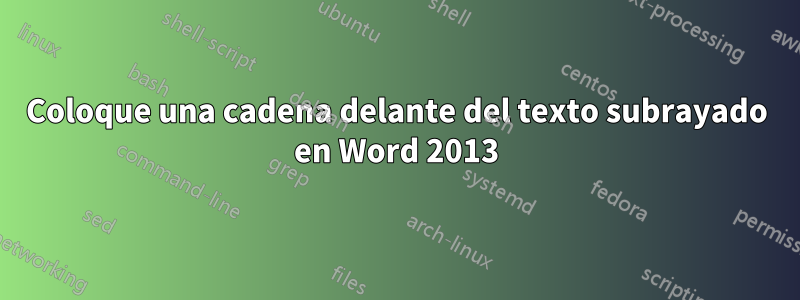 Coloque una cadena delante del texto subrayado en Word 2013