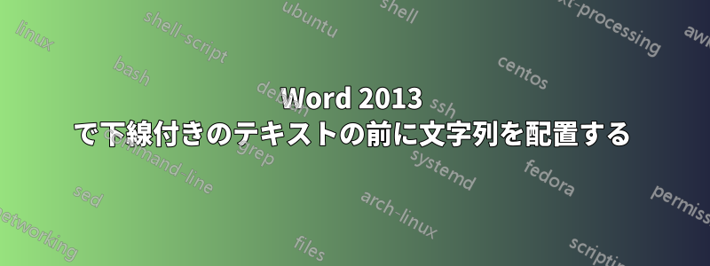 Word 2013 で下線付きのテキストの前に文字列を配置する