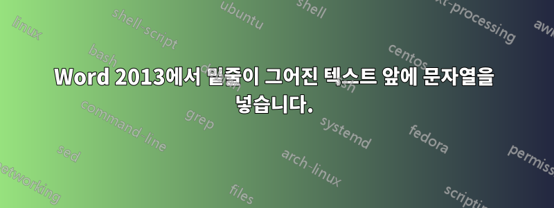 Word 2013에서 밑줄이 그어진 텍스트 앞에 문자열을 넣습니다.