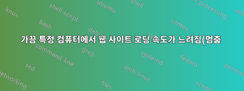 가끔 특정 컴퓨터에서 웹 사이트 로딩 속도가 느려짐(멈춤)