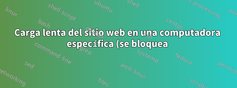 Carga lenta del sitio web en una computadora específica (se bloquea) ocasionalmente