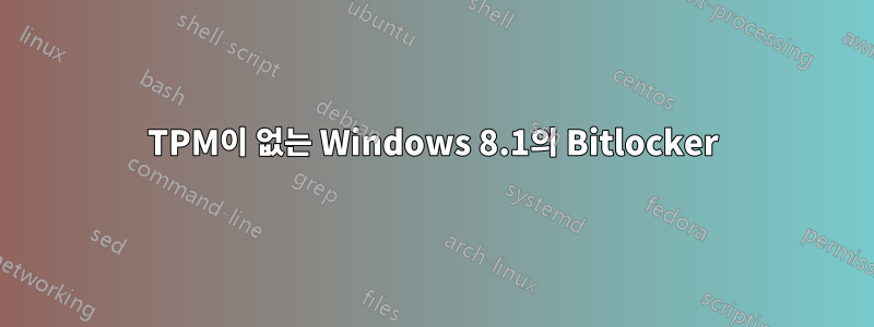 TPM이 없는 Windows 8.1의 Bitlocker