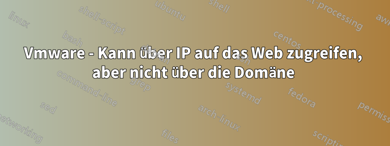 Vmware - Kann über IP auf das Web zugreifen, aber nicht über die Domäne